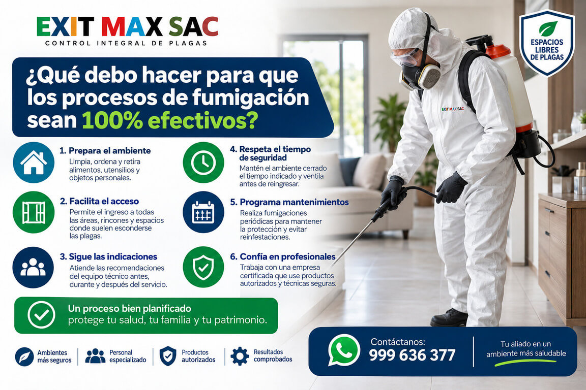 ¿Qué debo hacer para que los procesos de fumigación sean 100% efectivos?
