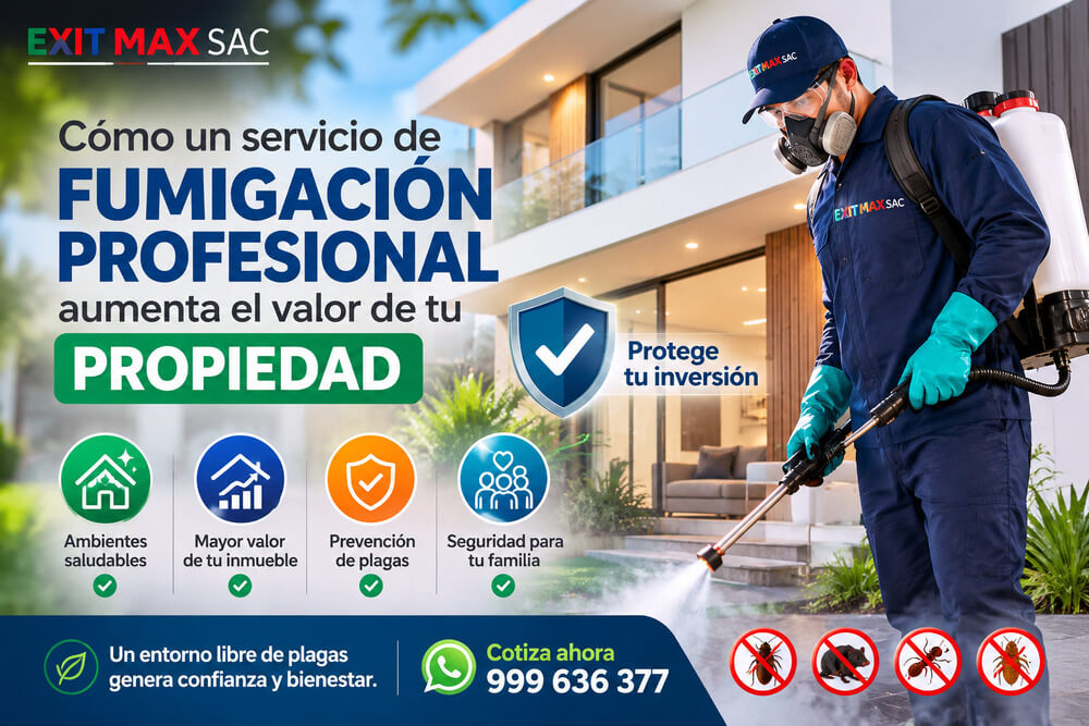 ¿Cómo un servicio de fumigación profesional aumenta el valor de tu propiedad?